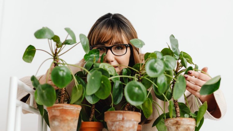 Going Green? Don’t Be Surprised if You Start Feeling Better Too