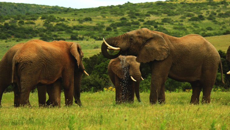 5 Beautiful Places in Africa