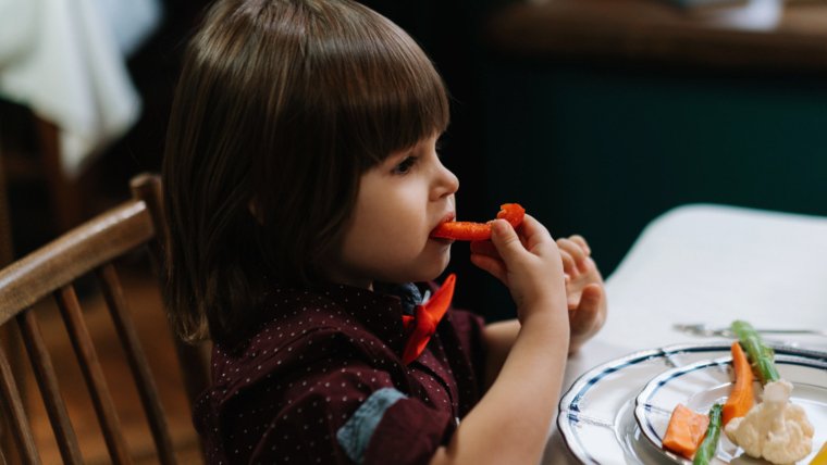 Healthy Options for Families With Picky Eaters
