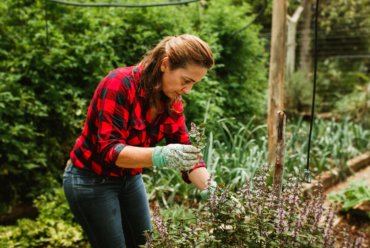 3 At Home Outdoor Activities Social Isolation Will Finally Give You A Chance To Try