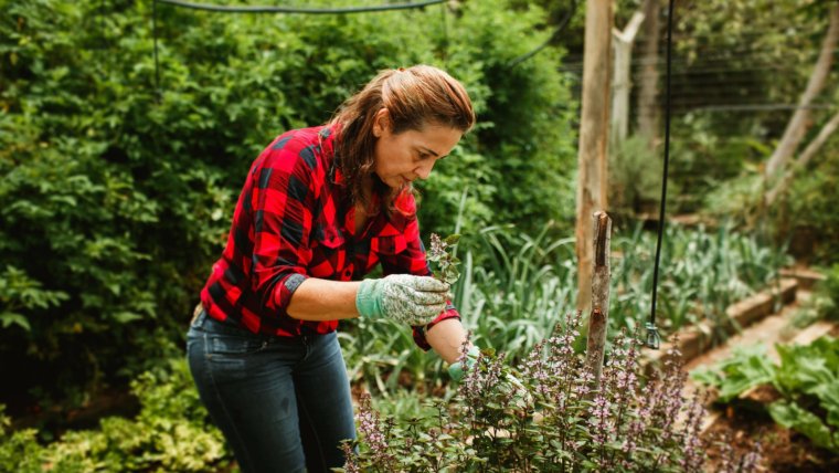 3 At Home Outdoor Activities Social Isolation Will Finally Give You A Chance To Try