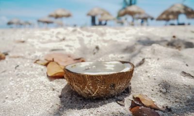 brown coconut shell on white sand during daytime