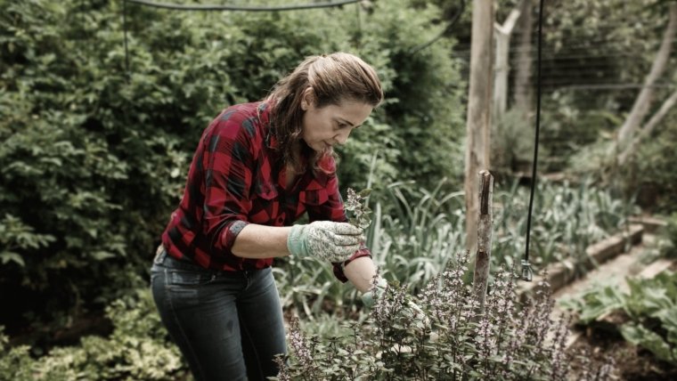 3 At Home Outdoor Activities Social Isolation Will Finally Give You A Chance To Try